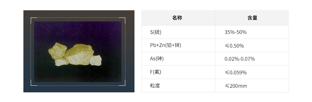 金狮贵宾会·宾至如归-尊贵显赫