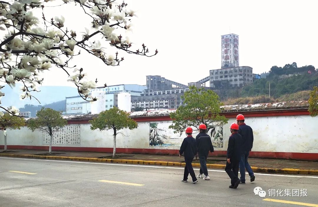 金狮贵宾会·宾至如归-尊贵显赫