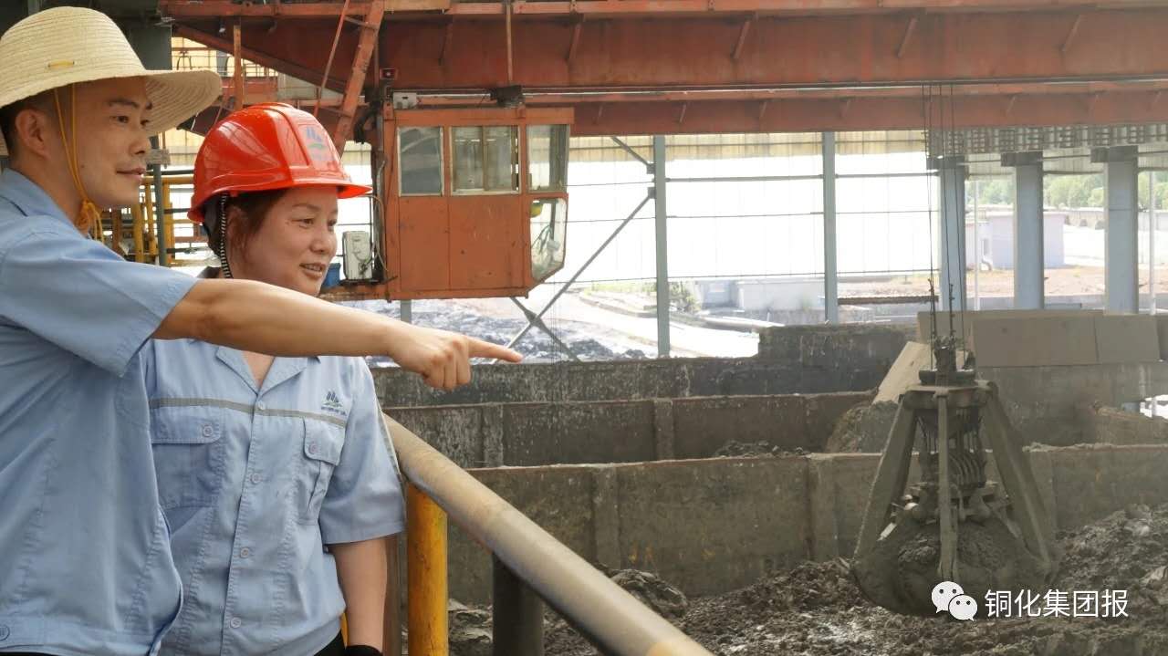 金狮贵宾会·宾至如归-尊贵显赫