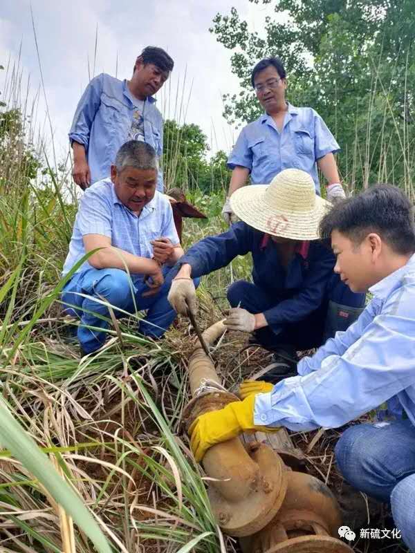 金狮贵宾会·宾至如归-尊贵显赫
