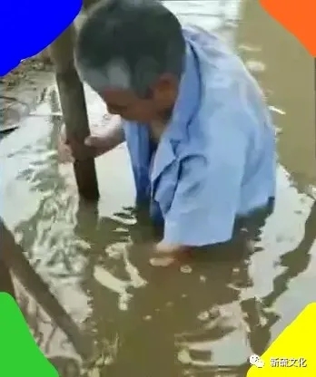 金狮贵宾会·宾至如归-尊贵显赫