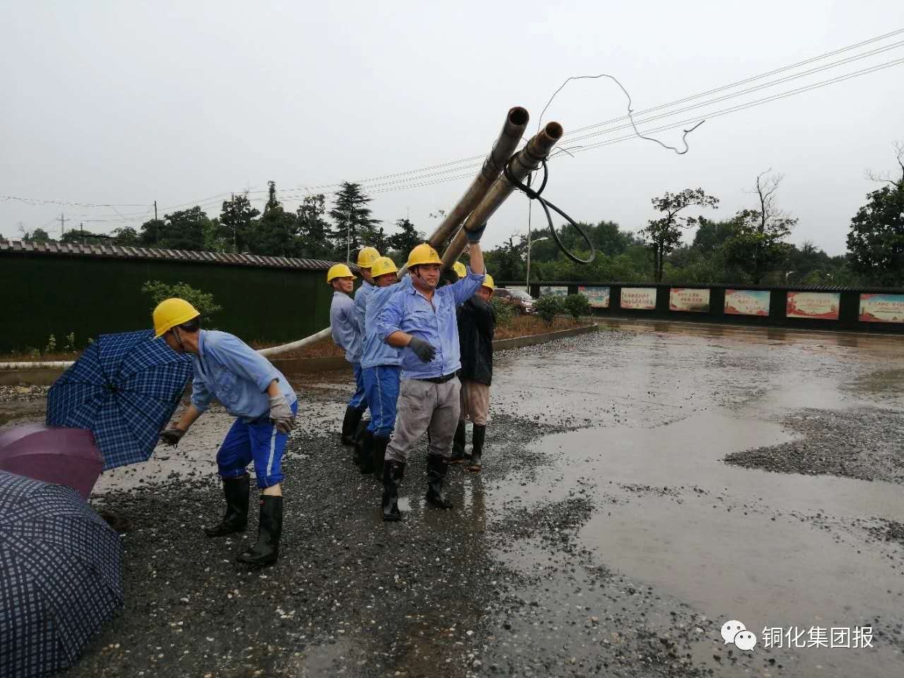 金狮贵宾会·宾至如归-尊贵显赫