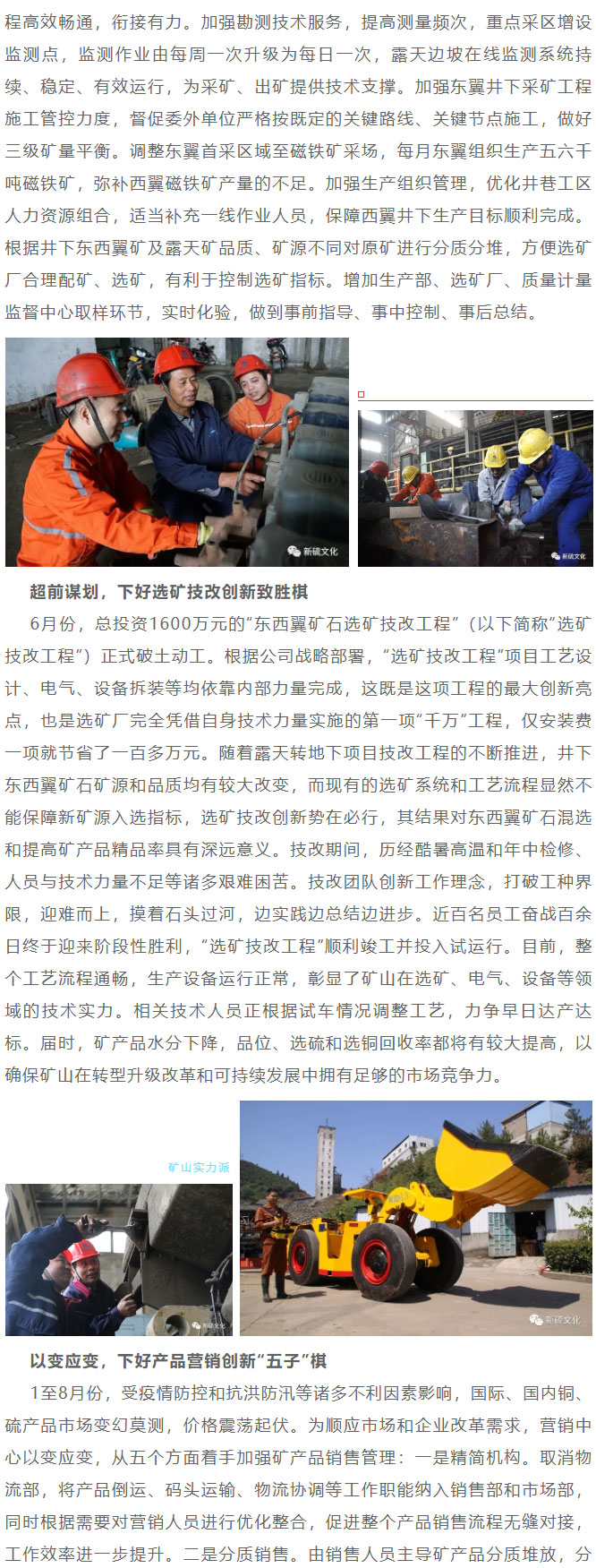 金狮贵宾会·宾至如归-尊贵显赫