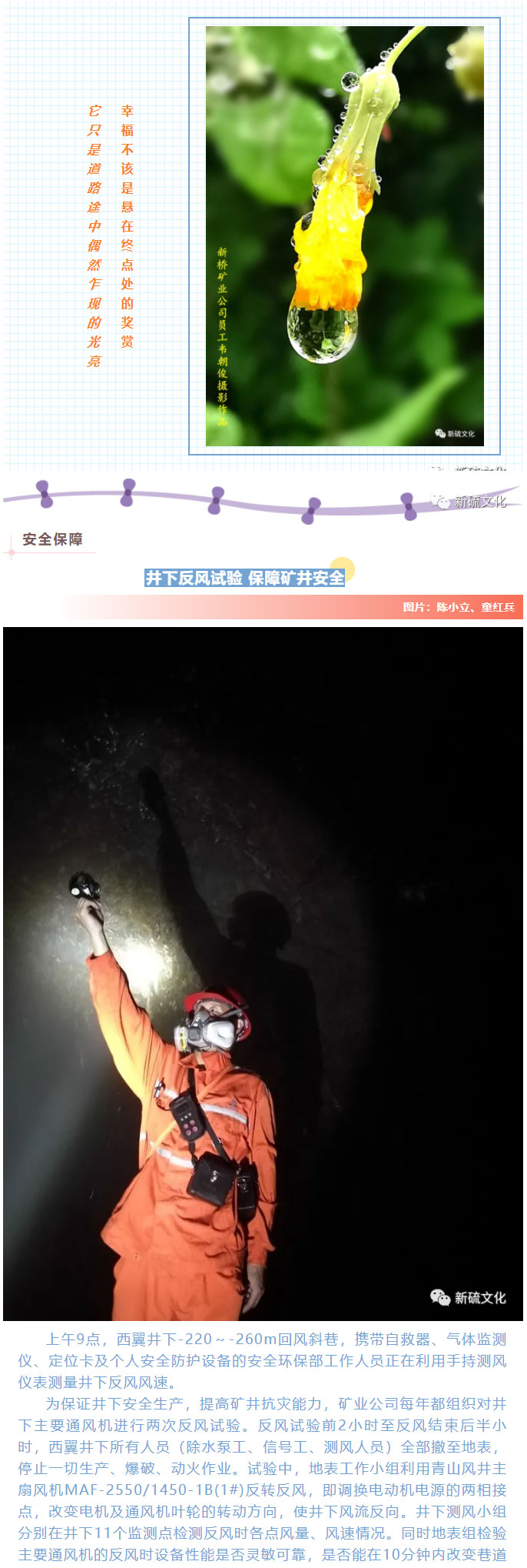 金狮贵宾会·宾至如归-尊贵显赫